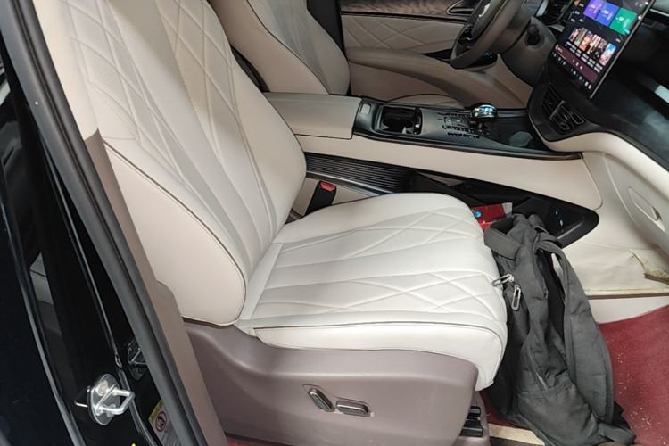 Used Denza D9 2022 DM-i 945 Luxury Model Right Front Seat
