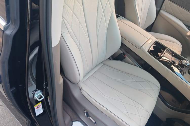 Used Denza D9 2022 DM-i 1040 Prestige Model Right Front Seat