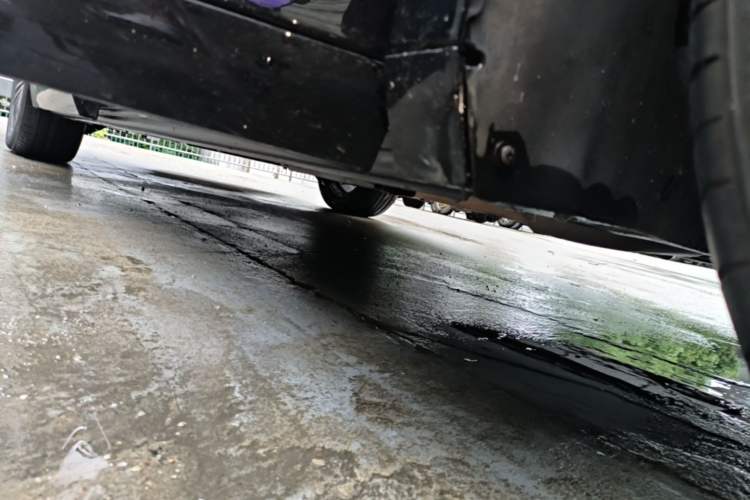 Used Denza D9 2022 DM-i 970 Four-Wheel Drive Flagship Model Right Side Sill