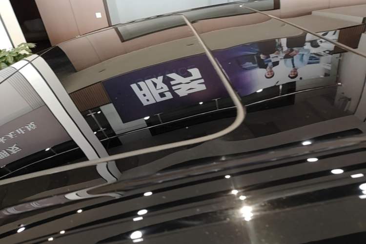 Used Denza D9 2022 DM-i 1040 Prestige Model Roof