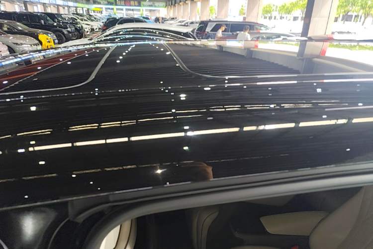 Used Denza D9 2022 EV 600 Four-Wheel Drive Flagship Model Roof