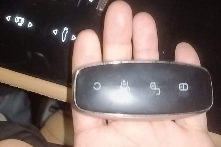 Used Denza D9 2022 DM-i 970 Four-Wheel Drive Flagship Model Vehicle Key