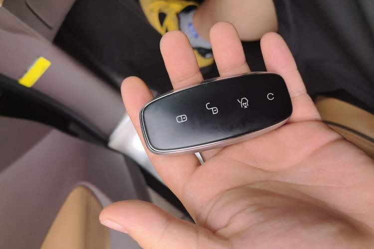 Used Denza D9 2022 DM-i 970 Four-Wheel Drive Prestige Model Vehicle Key