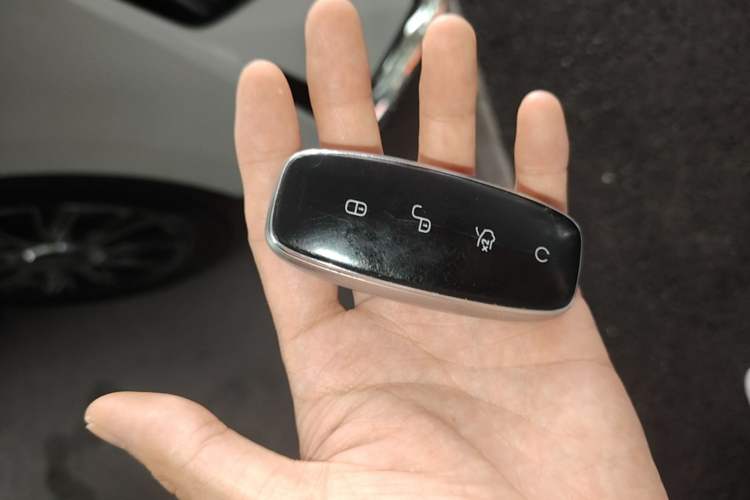 Used Denza D9 2022 DM-i 970 Four-Wheel Drive Flagship Model Vehicle Key
