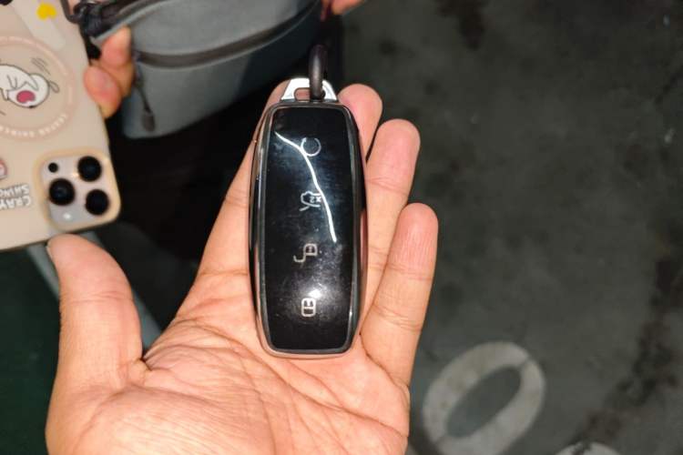 Used Denza D9 2022 DM-i 970 Four-Wheel Drive Flagship Model Vehicle Key