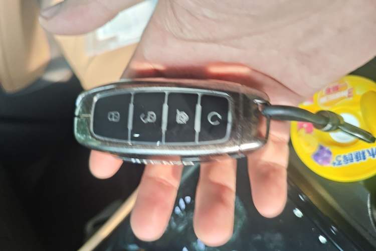 Used Denza D9 2022 DM-i 970 Four-Wheel Drive Prestige Model Vehicle Key