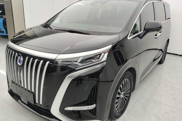 Denza D9 2022 EV 600 Four-Wheel Drive Prestige Model