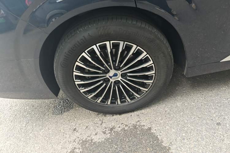 Used Denza D9 2022 DM-i 970 Four-Wheel Drive Prestige Model Exterior 5