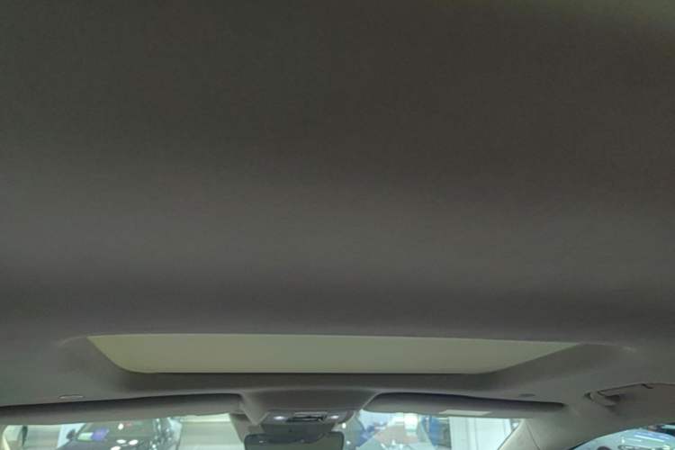 Used Denza D9 2022 DM-i 970 Four-Wheel Drive Flagship Model Headliner