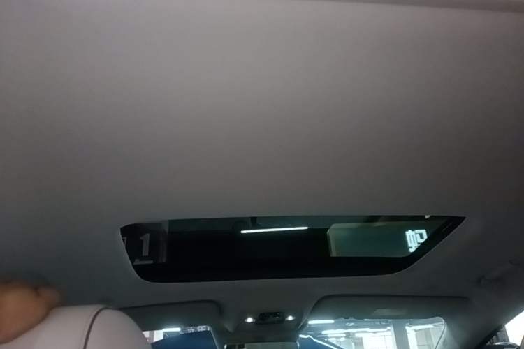 Used Denza D9 2022 DM-i 970 Four-Wheel Drive Prestige Model Headliner