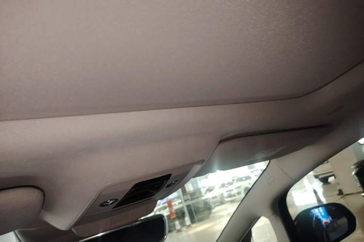 Used Denza D9 2022 DM-i 970 Four-Wheel Drive Flagship Model Headliner