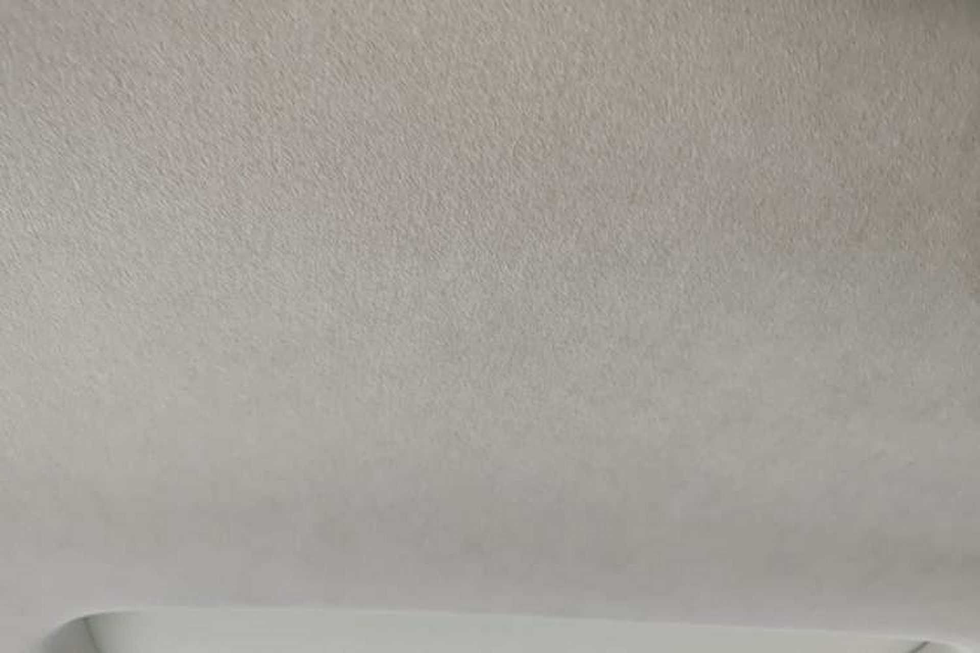 Used Denza D9 2022 EV 600 Four-Wheel Drive Flagship Model Headliner
