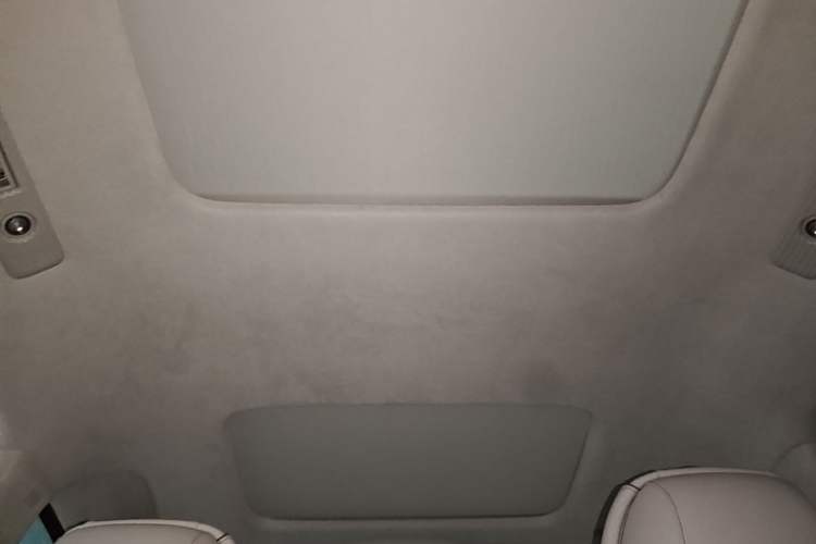 Used Denza D9 2022 DM-i 970 Four-Wheel Drive Flagship Model Headliner