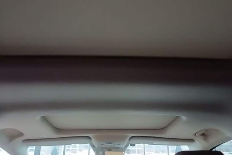 Used Denza D9 2022 DM-i 970 Four-Wheel Drive Prestige Model Headliner
