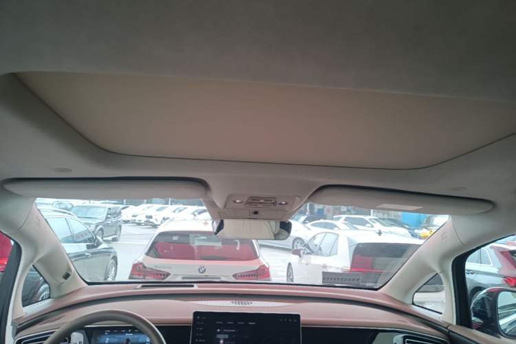 Used Denza D9 2022 DM-i 970 Four-Wheel Drive Flagship Model Headliner