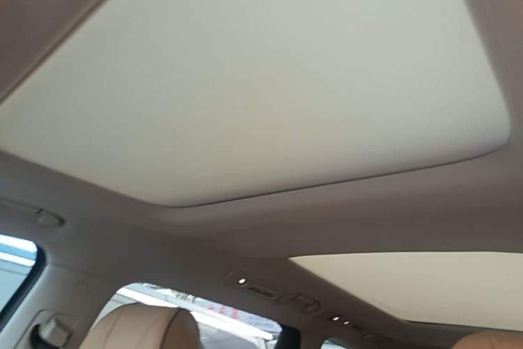 Used Denza D9 2022 DM-i 1040 Prestige Model Headliner