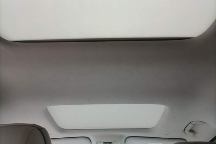 Used Denza D9 2022 DM-i 970 Four-Wheel Drive Flagship Model Headliner