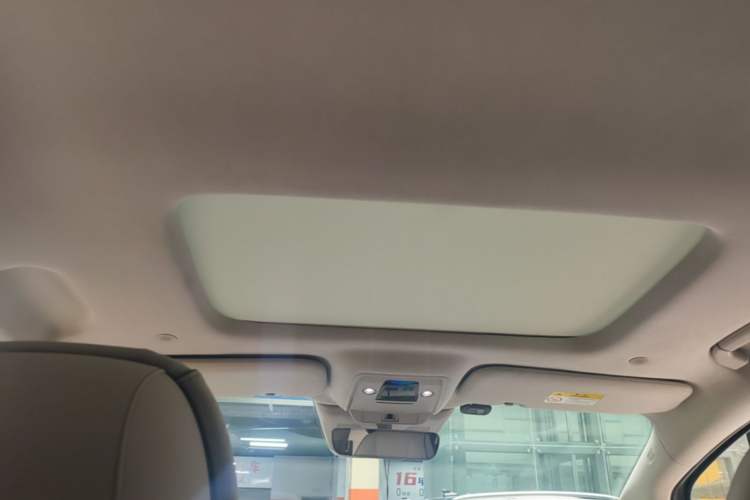 Used Denza D9 2022 DM-i 970 Four-Wheel Drive Flagship Model Headliner