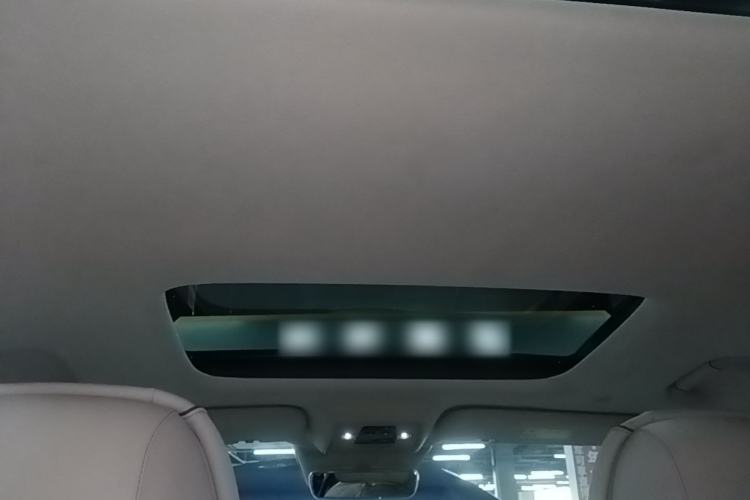 Used Denza D9 2022 DM-i 970 Four-Wheel Drive Flagship Model Headliner