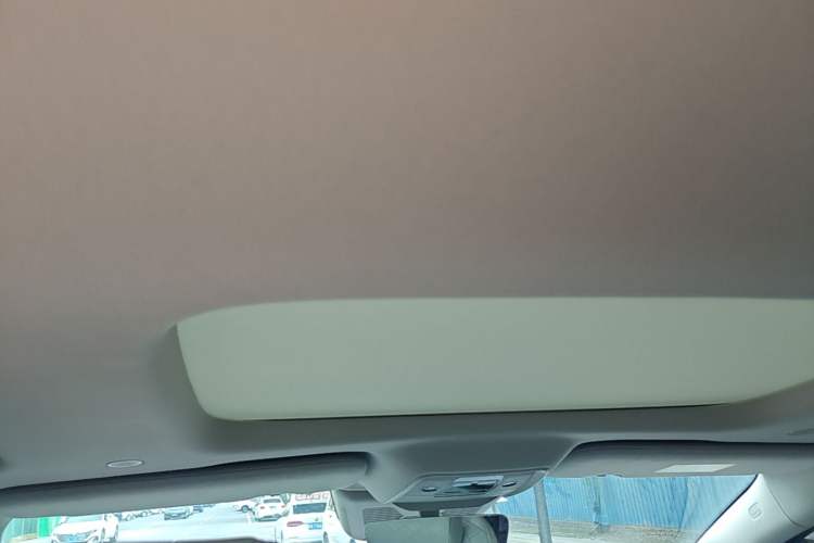 Used Denza D9 2022 DM-i 970 Four-Wheel Drive Prestige Model Headliner