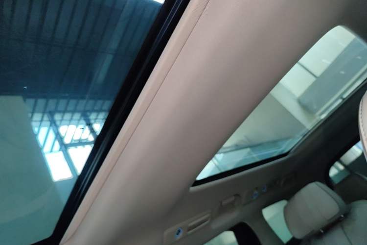 Used Denza D9 2022 DM-i 1040 Prestige Model Headliner