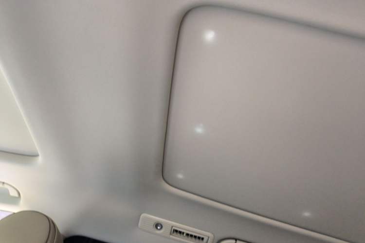 Used Denza D9 2022 DM-i 1040 Prestige Model Headliner