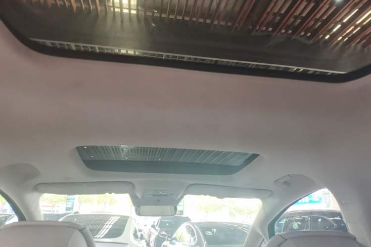 Used Denza D9 2022 DM-i 970 Four-Wheel Drive Flagship Model Headliner