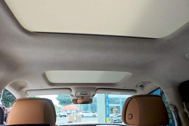 Used Denza D9 2022 DM-i 970 Four-Wheel Drive Flagship Model Headliner