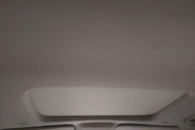 Used Denza D9 2022 DM-i 970 Four-Wheel Drive Prestige Model Headliner