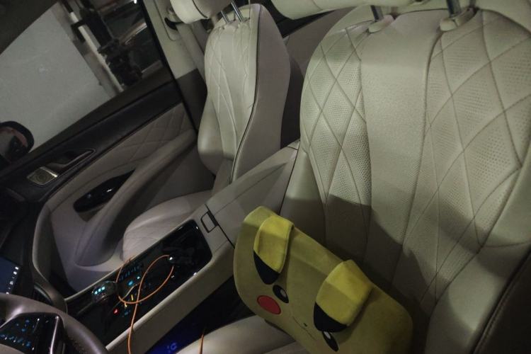 Used Denza D9 2022 DM-i 1040 Prestige Model Left Front Seat