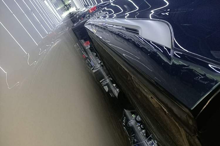 Used Denza D9 2022 DM-i 970 Four-Wheel Drive Flagship Model Left Side Sill