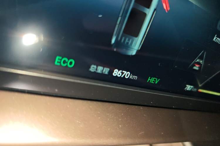 Used Denza D9 2022 DM-i 970 Four-Wheel Drive Prestige Model Odometer Close Up