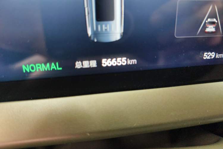 Used Denza D9 2022 DM-i 970 Four-Wheel Drive Prestige Model Odometer Close Up
