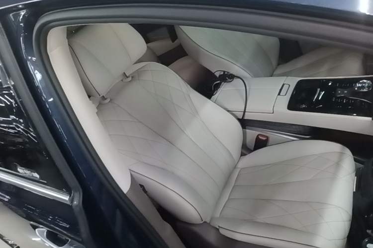 Used Denza D9 2022 DM-i 970 Four-Wheel Drive Prestige Model Right Front Seat