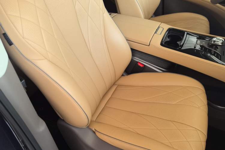 Used Denza D9 2022 DM-i 1040 Prestige Model Right Front Seat