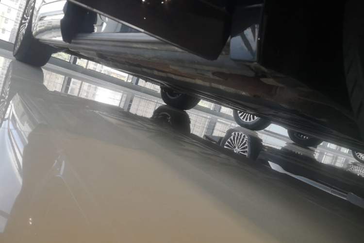 Used Denza D9 2022 DM-i 970 Four-Wheel Drive Flagship Model Right Side Sill