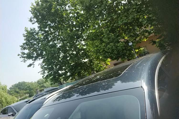 Used Denza D9 2022 DM-i 1040 Prestige Model Roof