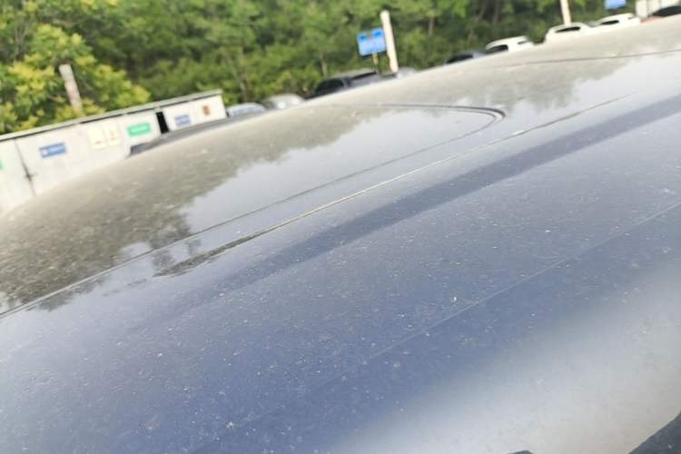 Used Denza D9 2022 DM-i 1040 Prestige Model Roof