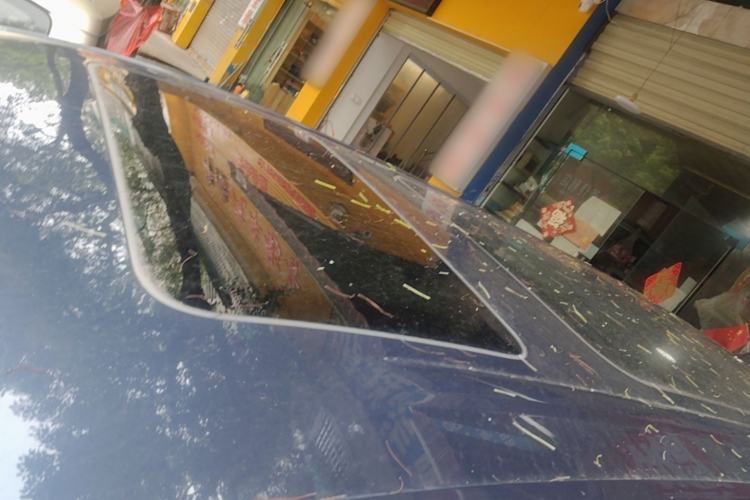 Used Denza D9 2022 DM-i 1040 Prestige Model Roof
