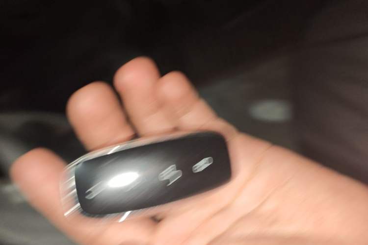 Used Denza D9 2022 DM-i 1040 Prestige Model Vehicle Key