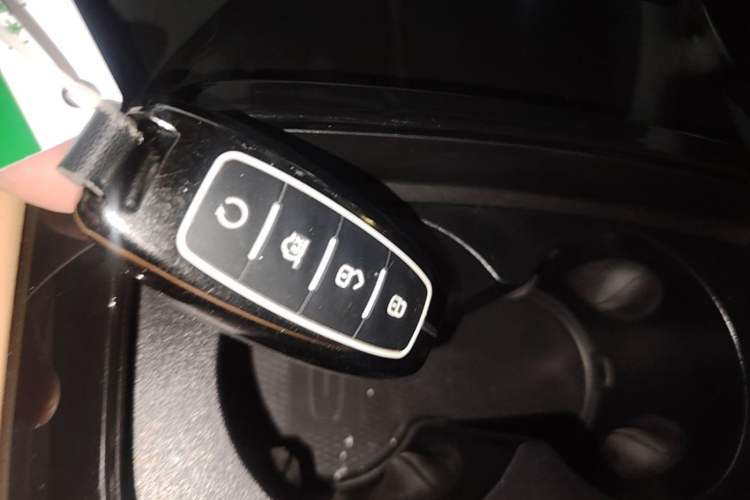 Used Denza D9 2022 DM-i 970 Four-Wheel Drive Flagship Model Vehicle Key