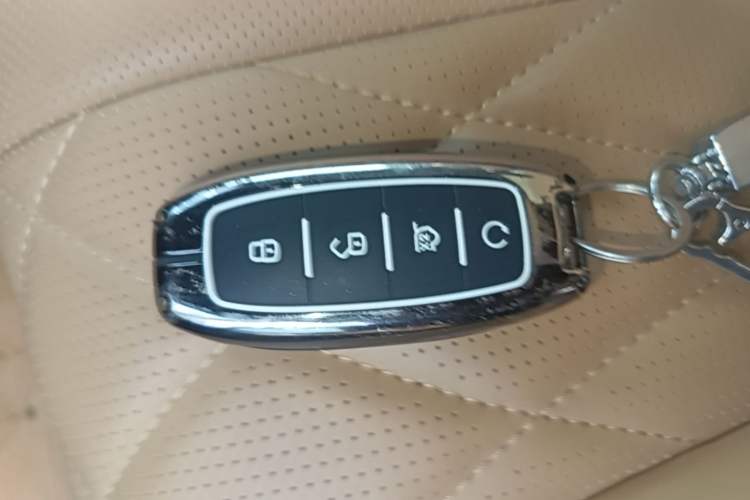 Used Denza D9 2022 DM-i 1040 Prestige Model Vehicle Key