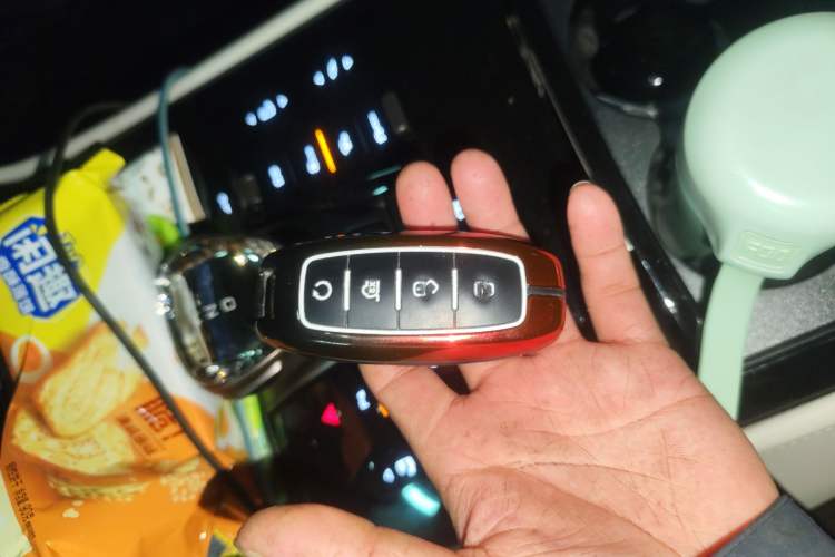 Used Denza D9 2022 DM-i 1040 Prestige Model Vehicle Key
