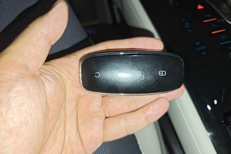 Used Denza D9 2022 DM-i 970 Four-Wheel Drive Prestige Model Vehicle Key