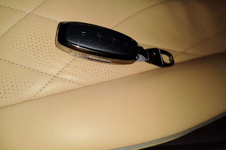 Used Denza D9 2022 DM-i 970 Four-Wheel Drive Flagship Model Vehicle Key