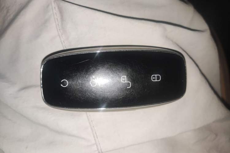 Used Denza D9 2022 DM-i 1040 Prestige Model Vehicle Key
