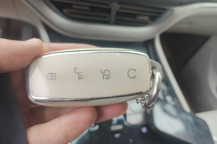 Used Denza D9 2022 DM-i 970 Four-Wheel Drive Prestige Model Vehicle Key