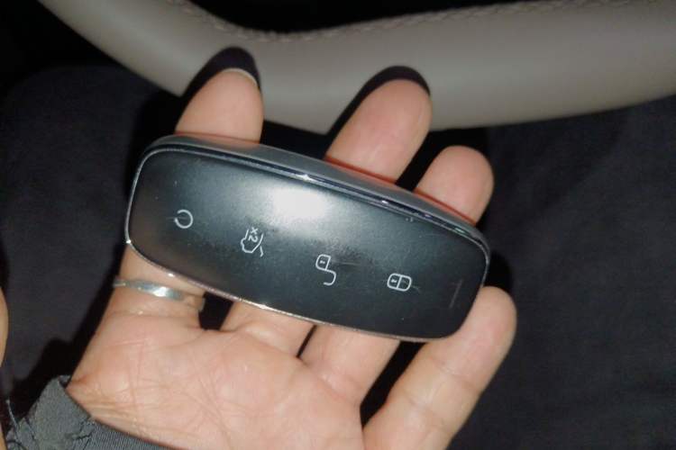 Used Denza D9 2022 DM-i 970 Four-Wheel Drive Prestige Model Vehicle Key