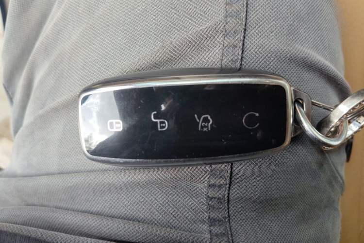 Used Denza D9 2022 DM-i 1040 Prestige Model Vehicle Key