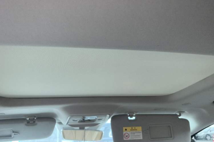Used Denza D9 2022 DM-i 970 Four-Wheel Drive Prestige Model Headliner